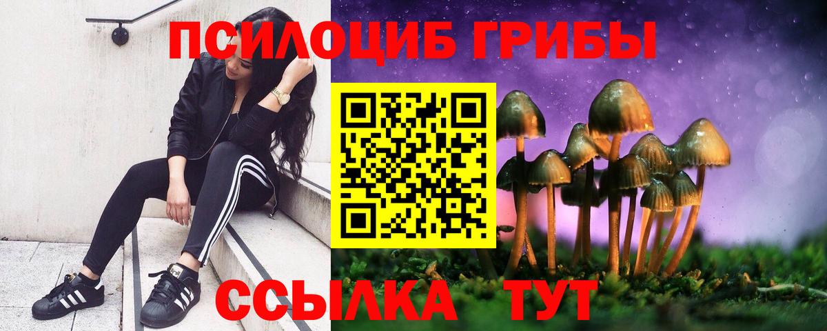 Псилоцибиновые грибы GOLDEN TEACHER Партизанск